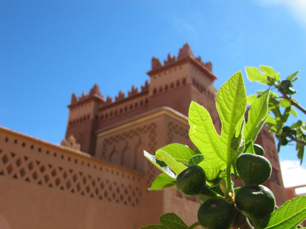 Kasbah Ait Kassi Hotel Boumalne Dades Bagian luar foto